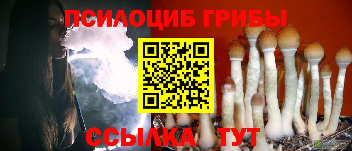 Галлюциногенные грибы мухоморы Строитель